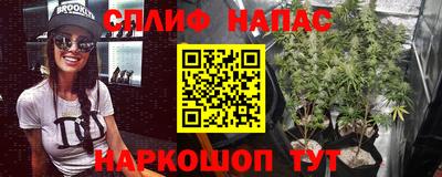 гидра Бузулук